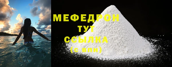 индика Богородицк