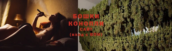 СК Бородино
