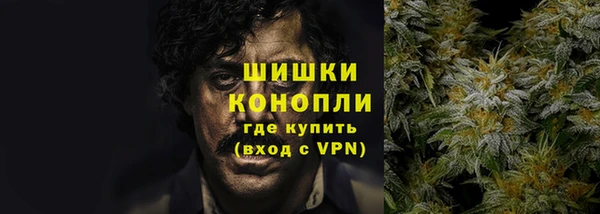 СК Бородино