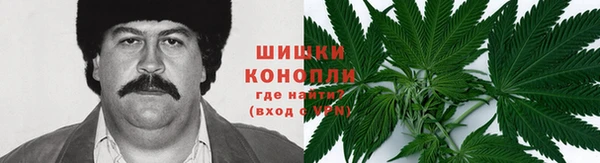 ГАЛЛЮЦИНОГЕННЫЕ ГРИБЫ Богородск