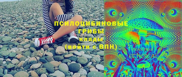 СК Бородино